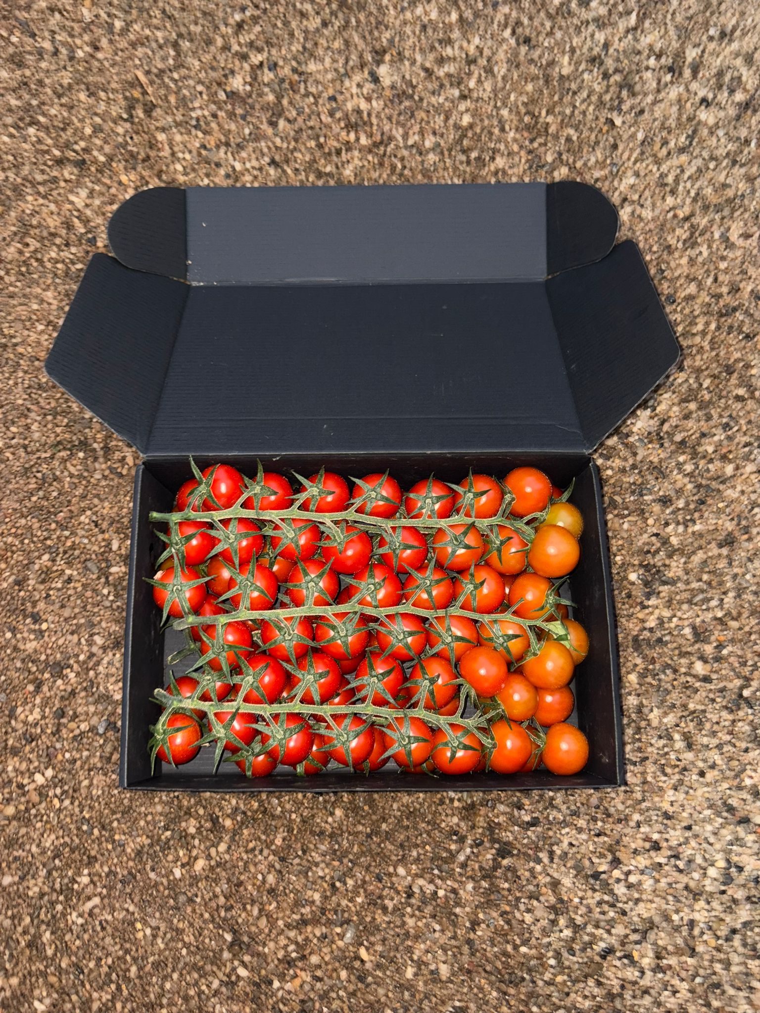 Tomate Cherry Redondo · 3kg