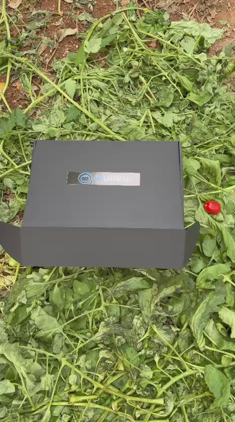 Tomate Cherry Pera · 3kg